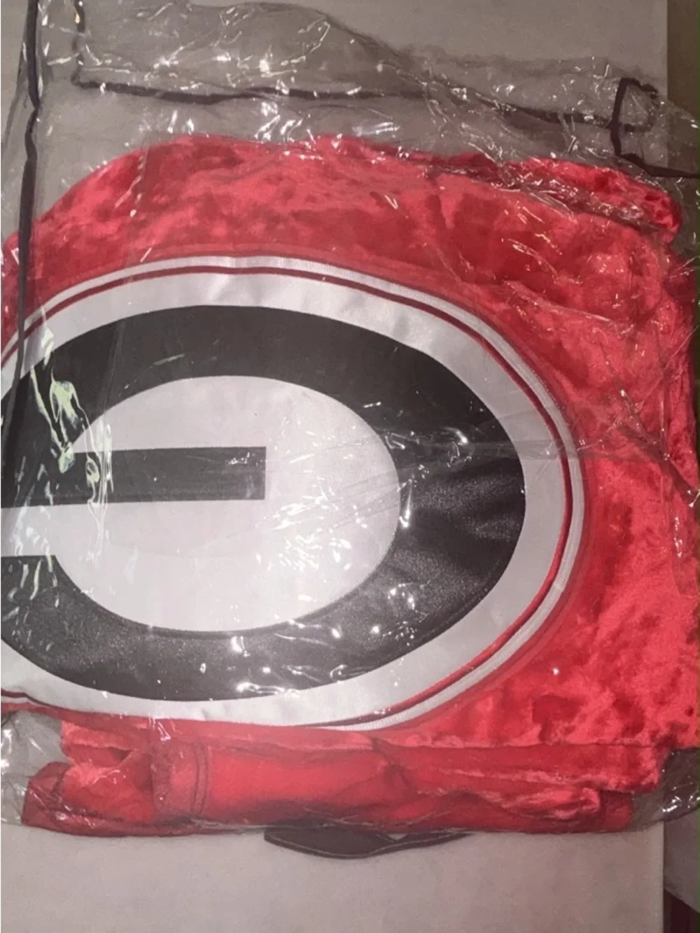 Georgia Bulldogs Oversized Plush Throw Blanket Red Large G Logo #T10